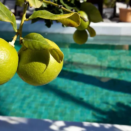 Rio Real Golf & Hotel Marbella