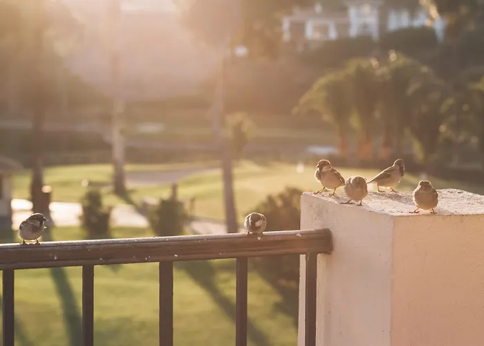 Rio Real Golf & מארבלה